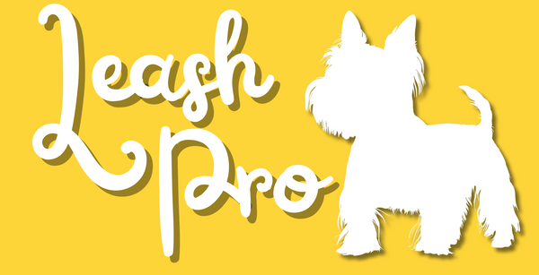 Leash Pro